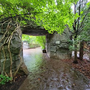 Cincinnati 5/22 - Cat Canyon, path