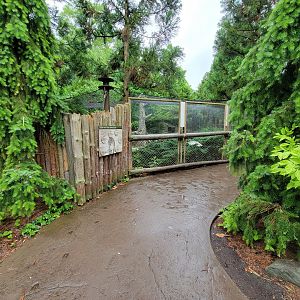 Cincinnati 5/22 - Cat Canyon, snow leopards