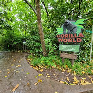 Cincinnati 5/22 - Gorilla World, entrance