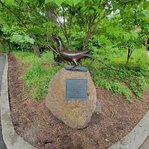 Cincinnati 5/22 - Passenger Pigeon Memorial