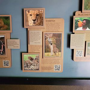 Cincinnati 5/22 - Passenger Pigeon Memorial, saving species