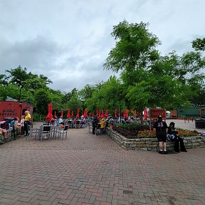 Cincinnati Zoo 5/22 - Eating area by the ring-tailed lemurs