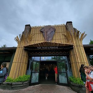 Cincinnati Zoo 5/22 - Mai Thai's Market, two eateries and a gift shop