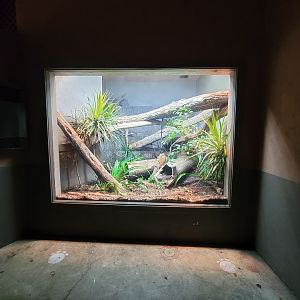 Cincinnati Zoo 5/22 - Dragons!, unsigned monitor