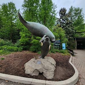 Cincinnati Zoo 5/22 - Manatee Springs