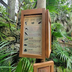 Cincinnati Zoo 5/22 - Manatee Springs, supposed free-flight/range animals