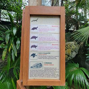 Cincinnati Zoo 5/22 - Manatee Springs, supposed turtles in ponds