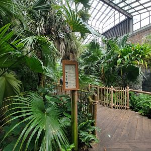 Cincinnati Zoo 5/22 - Manatee Springs