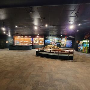 Cincinnati Zoo 5/22 - Manatee Springs, last room