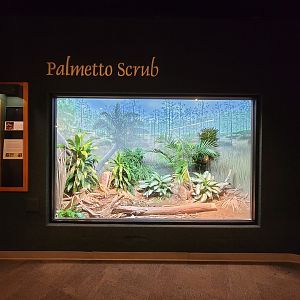 Cincinnati Zoo 5/22 - Manatee Springs, burmese python