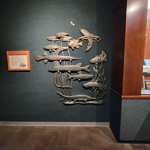 Cincinnati Zoo 5/22 - Manatee Springs, art