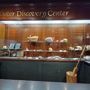 Cincinnati Zoo 5/22 - Manatee Springs, Dater Discovery Center