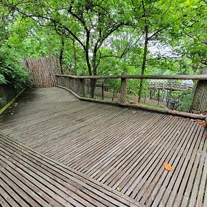 Cincinnati Zoo 5/22 - Boardwalk outside Manatee Springs, temporary Bennett's Wallaby holding