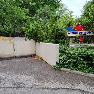 Cincinnati Zoo 5/22 - Wings of Wonder Theater