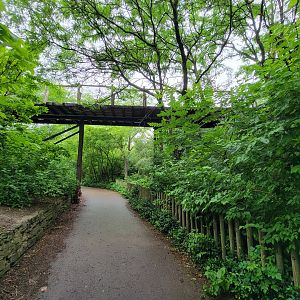 Cincinnati Zoo 5/22 - Train path over flamingos