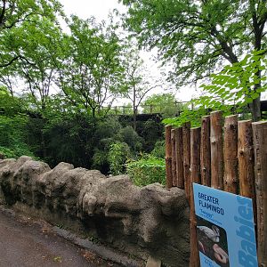 Cincinnati Zoo 5/22 - Train path over flamingos