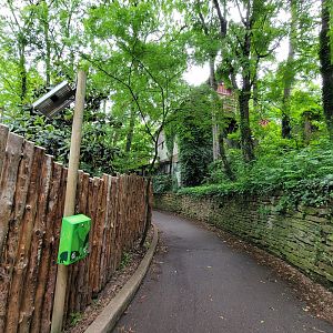 Cincinnati Zoo 5/22 - Path