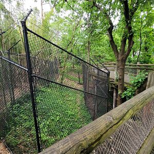 Cincinnati Zoo 5/22 - No idea what this is