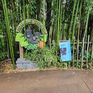 Cincinnati Zoo 5/22 - Jungle Trails