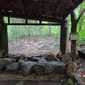 Cincinnati Zoo 5/22 - Jungle Trails, empty exhibit