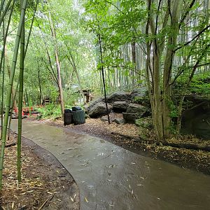 Cincinnati Zoo 5/22 - Jungle Trails, path