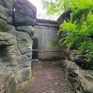 Cincinnati Zoo 5/22 - Jungle Trails, Asian building entrance