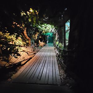 Cincinnati Zoo 5/22 - Jungle Trails, Asia building