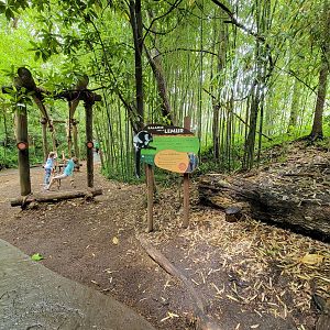 Cincinnati Zoo 5/22 - Jungle Trails, balance like a lemur