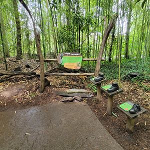 Cincinnati Zoo 5/22 - Jungle Trails, thumbs up for thumbs