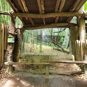 Cincinnati Zoo 5/22 - Jungle Trails, white-faced saki