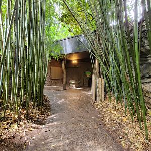 Cincinnati Zoo 5/22 - Jungle Trails, Africa building entrance