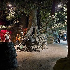 Cincinnati Zoo 5/22 - Jungle Trails, Africa building