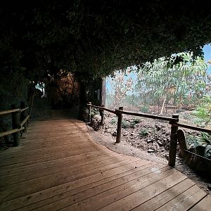 Cincinnati Zoo 5/22 - Jungle Trails, Africa building, aviary