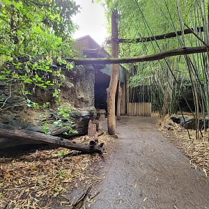 Cincinnati Zoo 5/22 - Jungle Trails, past Africa building