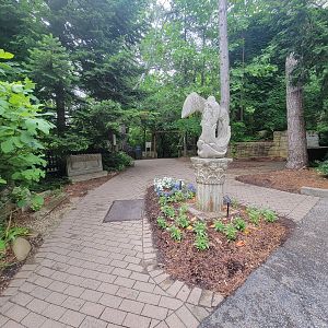 Cincinnati Zoo 5/22 - Garden of Peace