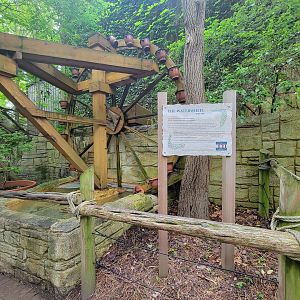 Cincinnati Zoo 5/22 - Garden of Peace