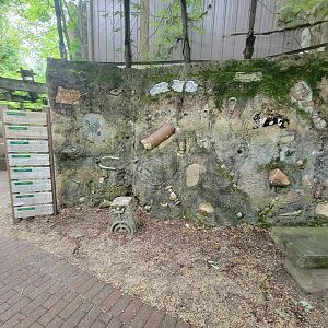 Cincinnati Zoo 5/22 - Garden of Peace