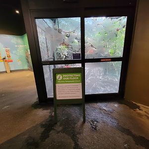 Cincinnati Zoo 5/22 - Birds of the World, walk-through aviary closed
