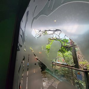 Cincinnati Zoo 5/22 - Birds of the World, walk-through aviary closed