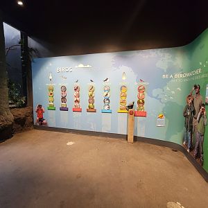 Cincinnati Zoo 5/22 - Birds of the World, Be a Birdwatcher