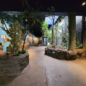 Cincinnati Zoo 5/22 - Birds of the World