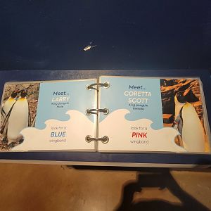 Cincinnati Zoo 5/22 - Birds of the World, book of penguin names