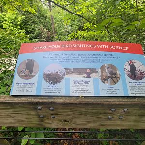 Cincinnati Zoo 5/22 - Share your bird sightings with science