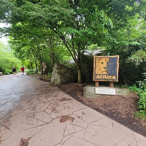Cincinnati Zoo 5/22 - Africa