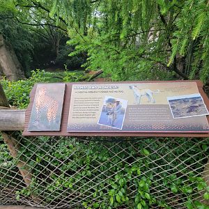 Cincinnati Zoo 5/22 - A cheetah-friendly farmer and his dog