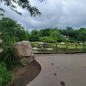 Cincinnati Zoo 5/22 - Africa