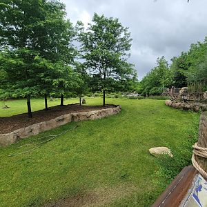 Cincinnati Zoo 5/22 - Africa