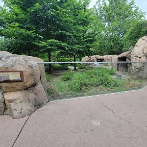 Cincinnati Zoo 5/22 - Africa,