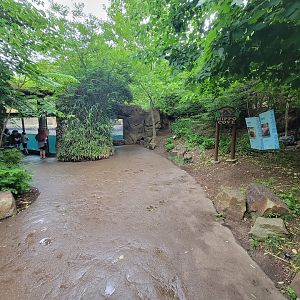 Cincinnati Zoo 5/22 - Hippo Cove