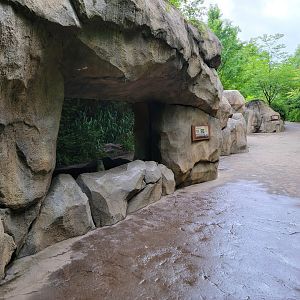 Cincinnati Zoo 5/22 - Africa, Meerkat indoor area